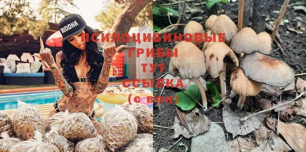 альфа пвп Арсеньев